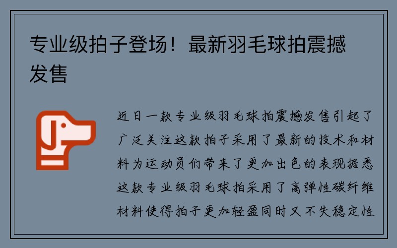 专业级拍子登场！最新羽毛球拍震撼发售